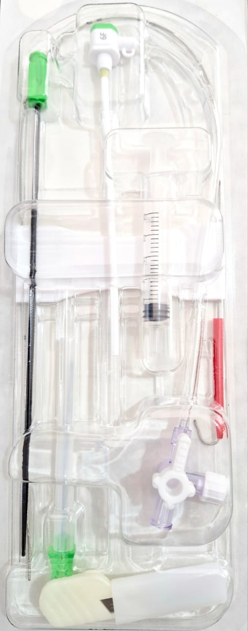 Introductor Femoral 6 FR  Yilson