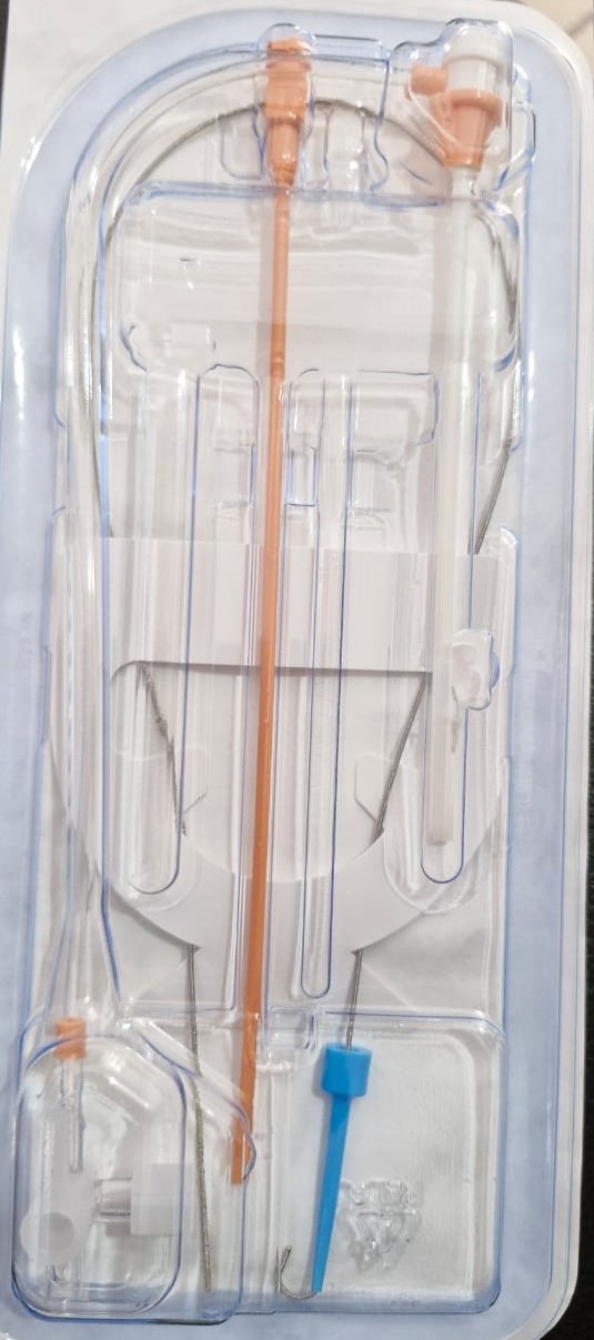 Introductor Femoral Cordis