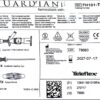 Llave Hemostatica Guardian Teleflex
