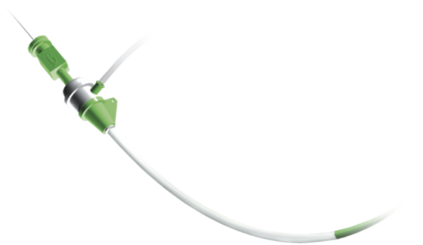 Introductor Femoral Cordis