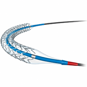 Stent Coronario Promus Premier™ Boston Scientific ES - Angioplastia Coronaria