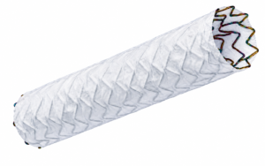 Stent Coronario Recubierto Papyrus SOS BIOTRONIK Stent Coronario Recubierto Papyrus SOS BIOTRONIK - Angioplastia Coronaria